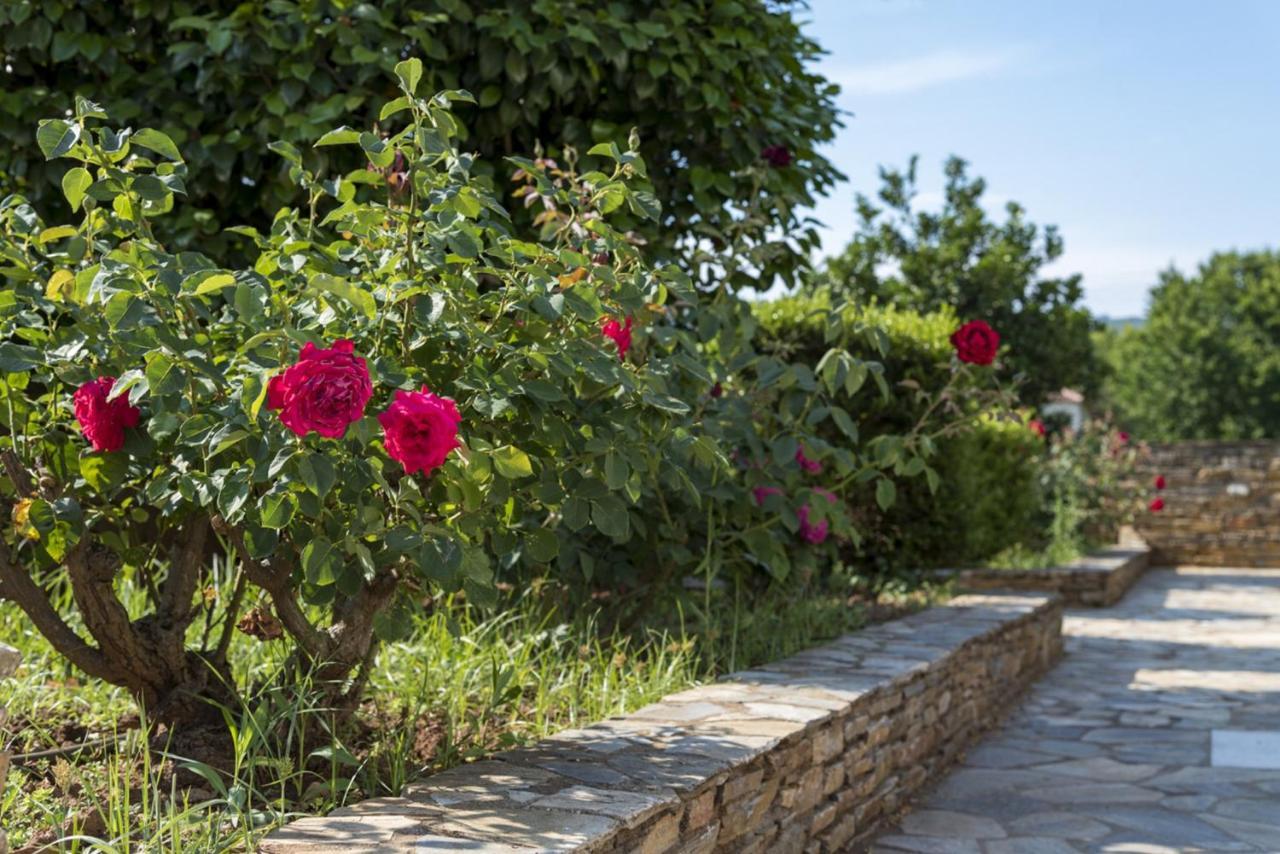 Ferienwohnung Harmony Seaside Pelion Platanias  Exterior foto